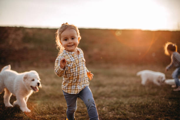 Girl playing with albai dog in meadow, having fun