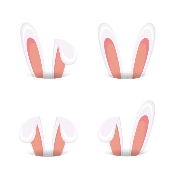 Easter Bunny Cartoon Ears Collection Icon Set Vector Illustration Stock  Illustration - Download Image Now - iStock