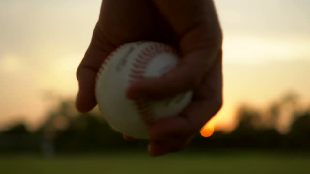 Baseball Game from Grass