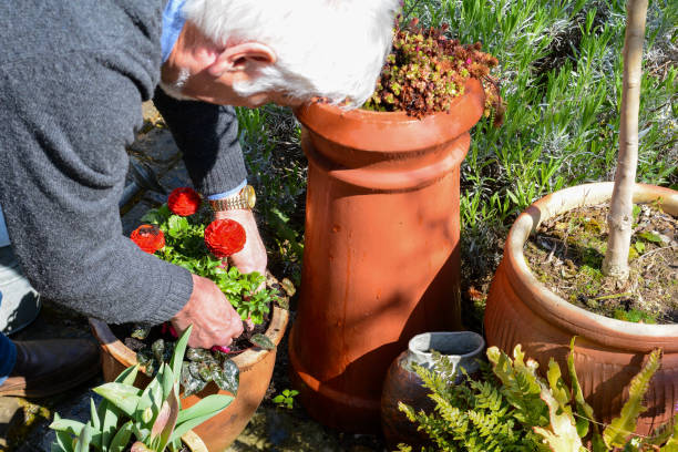istock Mature man tending to plants 1141792147