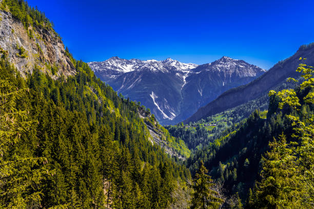 istock Alps mountains covered with pine forest, Leukerbad, Leuk, Visp, 1141792803
