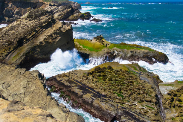 istock Cape Arago State Park, Oregon, USA 1141794255