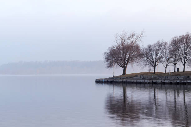 istock Lakeshore and the fog. 1141794533