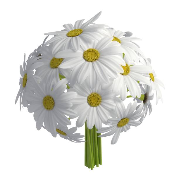 istock Flowers 3d illustration isolated on the white background 1141799797
