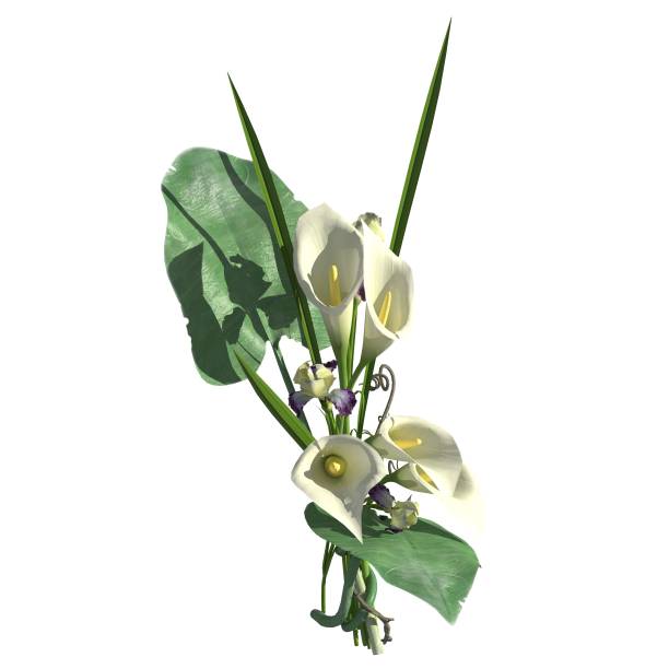 istock Flowers 3d illustration isolated on the white background 1141799928
