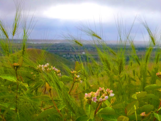 A place to go, minutes from the downtown Boise area.