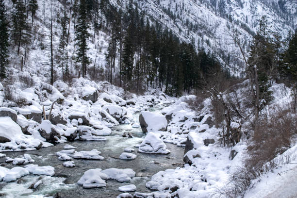 Picturesque River in the North Cascades (Winter) National Park Nature Scene: A winding river in North Cascades National Park featuring snow-covered rocks and trees - Washington, USA north cascades national park cascade range waterfall snowcapped stock pictures, royalty-free photos & images