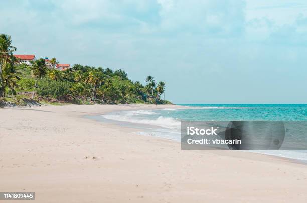 Tabatinga Beach Count Pb Brazil Stock Photo - Download Image Now - Beach, Earl, Paraiba
