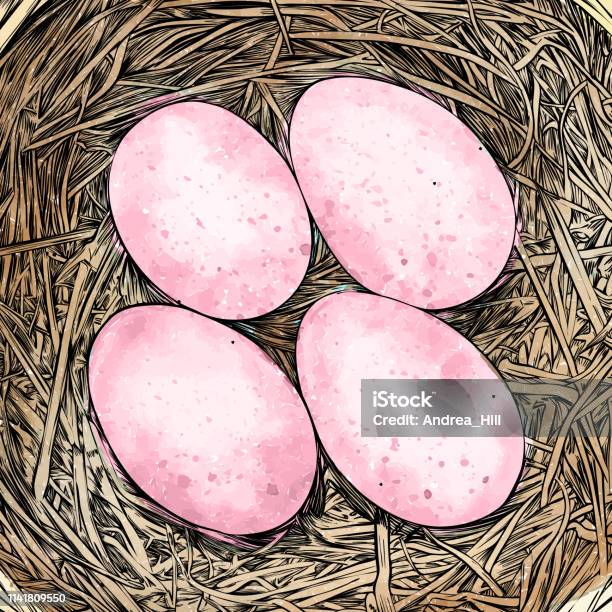 Bird Nest With Eggs Pen And Ink Vector Drawing Stock Illustration - Download Image Now - Abstract, American Robin, Animal