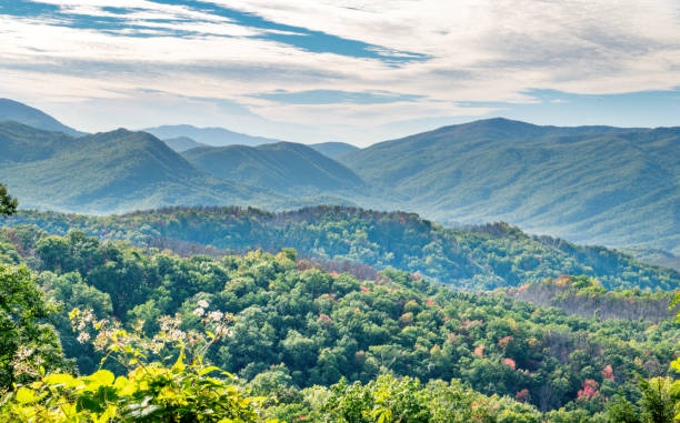 Great Smokey Mountains National Park in Autumn Panoramic View of the Great Smokey Mountains near Gatlinburg, Tennessee - Great Smokey Mountains National Park, Tennessee, USA gatlinburg great smoky mountains national park north america tennessee stock pictures, royalty-free photos & images
