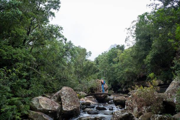 istock Hiking along a river trail in the forest 1141814146