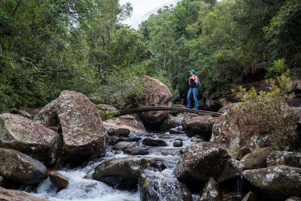 istock Enjoying the scenery on my walk through the forest 1141814211