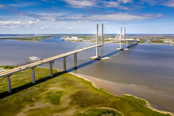 cable de antena-puente de los sidney lanier bridge - sydney fotografías e imágenes de stock