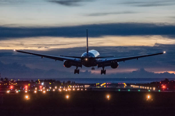 istock Back of the arriving airplane 1141823065