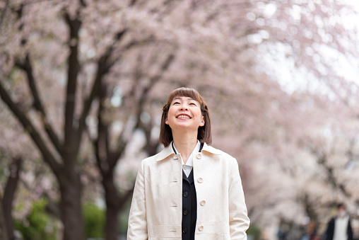 Businesswoman walking on street of cherry blossoms in Tokyo, Japan