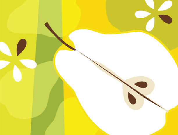 Abstract fruit design in flat cut out style. Pear and seeds. Abstract fruit design in flat cut out style. Pear and seeds. Vector illustration. natural restaurant pictures stock illustrations