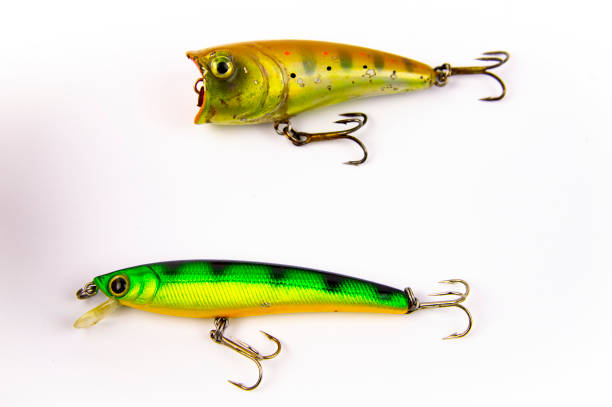 Fishing - bait for fishing predatory fish on spinning. White background. Place for text.