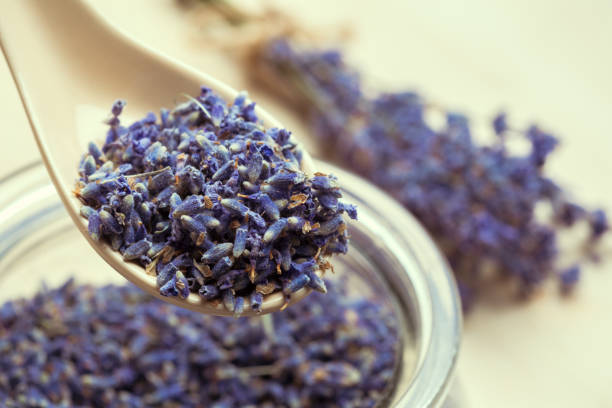 istock spoon of dry lavenders 1141847681