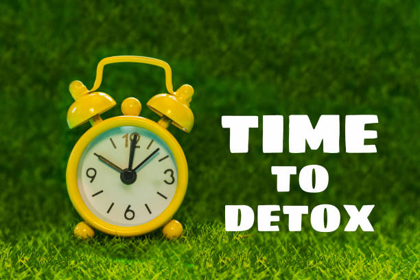 istock alarm clock on grass. inscription time to detox 1141848036