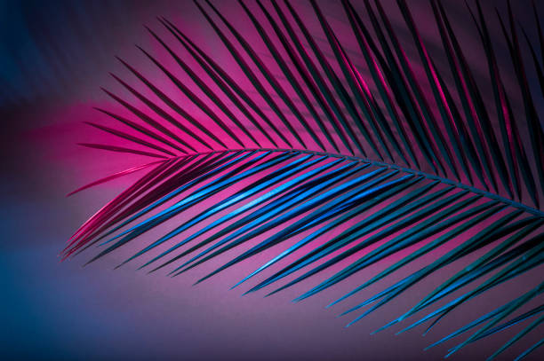 istock Tropical leaves in vibrant bold gradient holographic neon colors 1141848044
