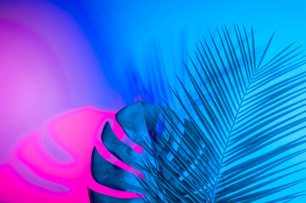 istock Holographic leaves. Concept art. Minimal surrealism background 1141848236