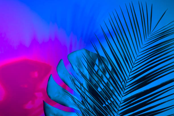 istock Holographic leaves. Concept art. Minimal surrealism background 1141848654