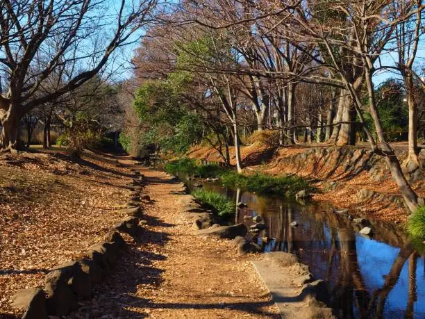 autumn fountainhead of Kanda-gawa river