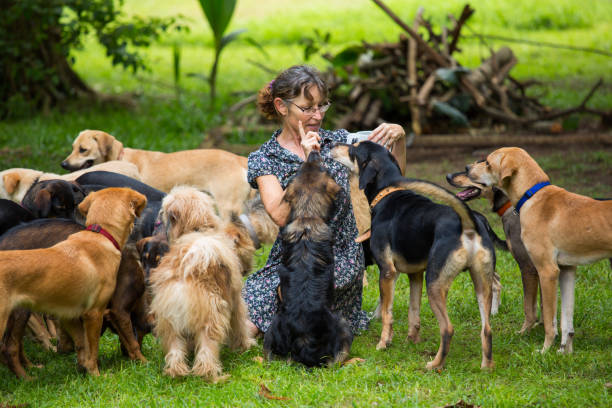 istock living with many dogs 1141850789