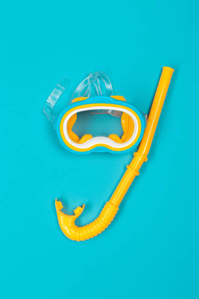 istock beach accessories on color background. Top view. 1141852639