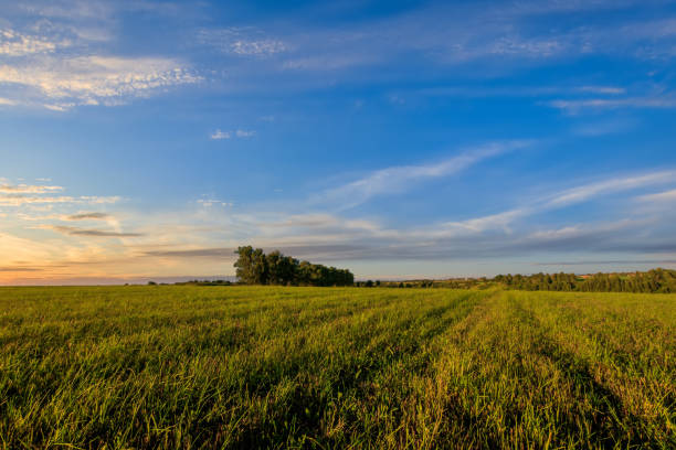 istock Countryside on a summer evening. 1141855240
