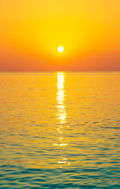 istock Sunset in the ocean 1141857011
