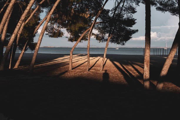 cień człowieka rzuconego na wydmę nad brzegiem morza śródziemnego - ludzki limb zdjęcia i obrazy z banku zdjęć