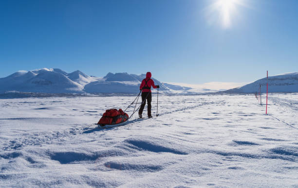 istock Cross-country skiing with pulka 1141857513