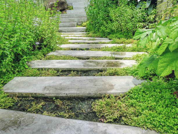 istock Concrete Blocks Walk Way in the Garden 1141864670