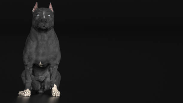 istock Pitbull dog sitting on ground frontal view 3d render 1141875685