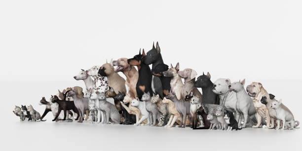 istock Large group of Dogs and Cats left view  white floor 3d render 1141876770