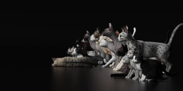istock Group of cats  side view with depth of field black floor 3d render 1141876772