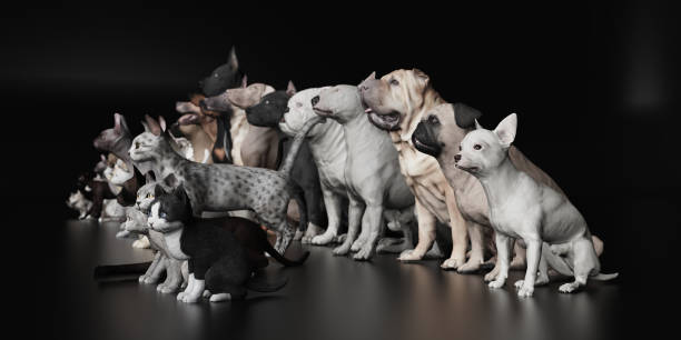 istock Dogs and Cats sitting together in Studio 3d render 1141876773