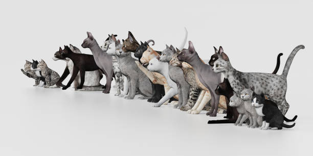 istock Group of cats all together on white background side view 3d render 1141876775