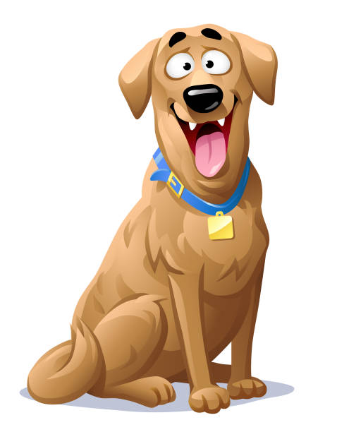 ilustrações de stock, clip art, desenhos animados e ícones de happy labrador retriever - mixed breed dog illustrations