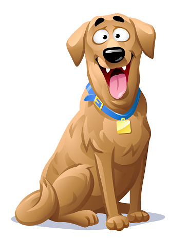 Vector illustration of a cheerful Labrador retriever with its mouth open, looking at the camera, isolated on white.