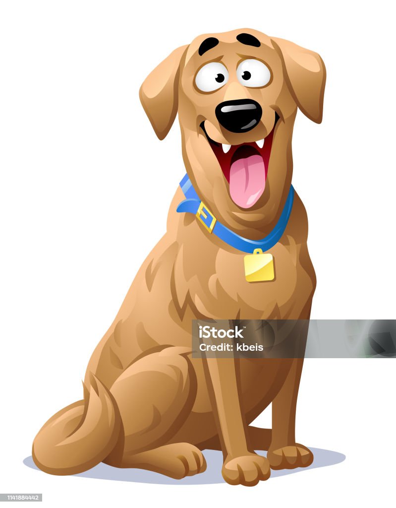 Happy Labrador Retriever Vector illustration of a cheerful Labrador retriever with its mouth open, looking at the camera, isolated on white. Dog stock vector