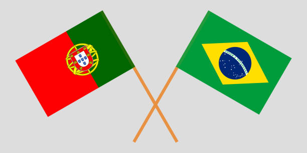 ilustraciones, imágenes clip art, dibujos animados e iconos de stock de portugal y brasil. las banderas portuguesas y brasileñas. colores oficiales. proporción correcta. vector - flagged