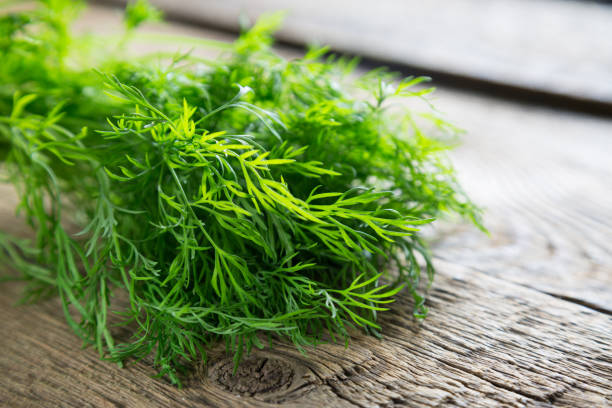 istock Fresh dill on a wooden table 1141889516