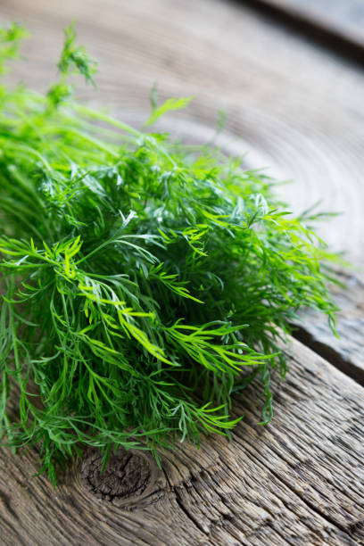 istock Fresh dill on a wooden table 1141889629