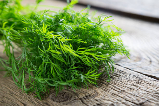 istock Fresh dill on a wooden table 1141889731