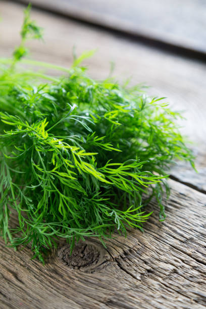 istock Fresh dill on a wooden table 1141889841