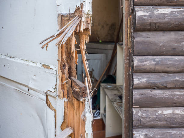 istock Burglary door vandalism 1141893491