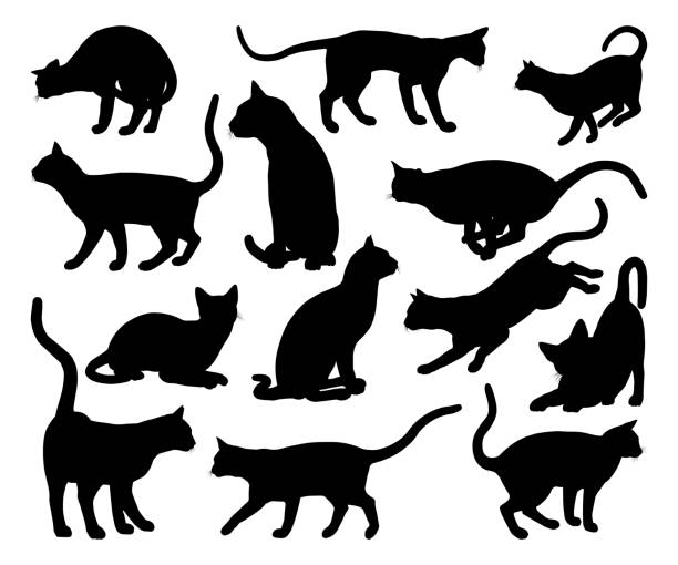 고양이 실루엣 애완 동물 동물 세트 - silhouette animal black domestic cat stock illustrations