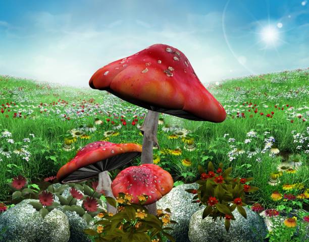 Green field in the summertime with wildflowers and red mushrooms – 3D illustration